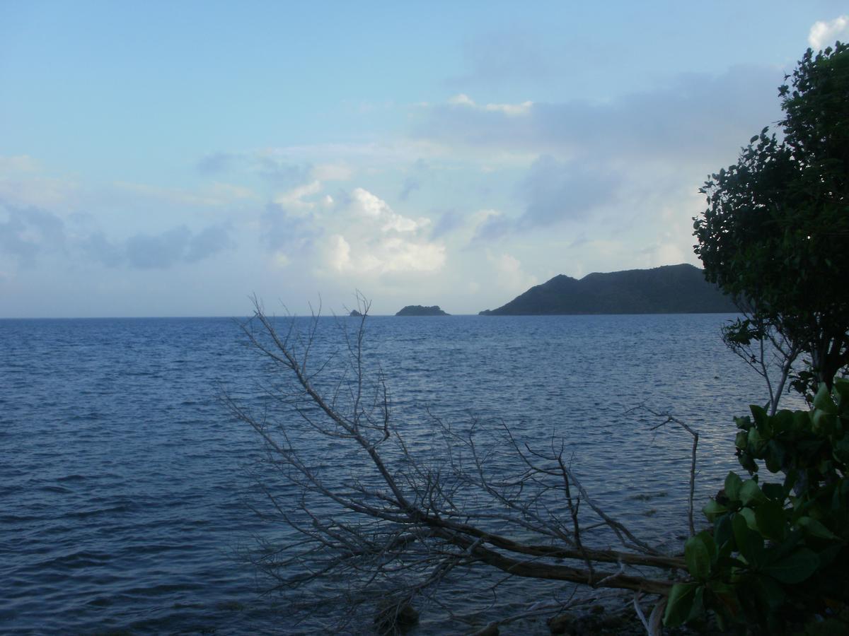 Posada Miss Portia South West Bay Εξωτερικό φωτογραφία