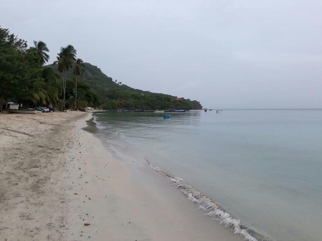 Posada Miss Portia South West Bay Εξωτερικό φωτογραφία